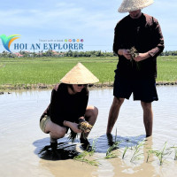 Combo Ticket Bay Mau Coconut Forestr Hoi An Memories Show Daily Tour