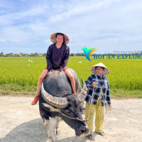 Combo Ticket Bay Mau Coconut Tours